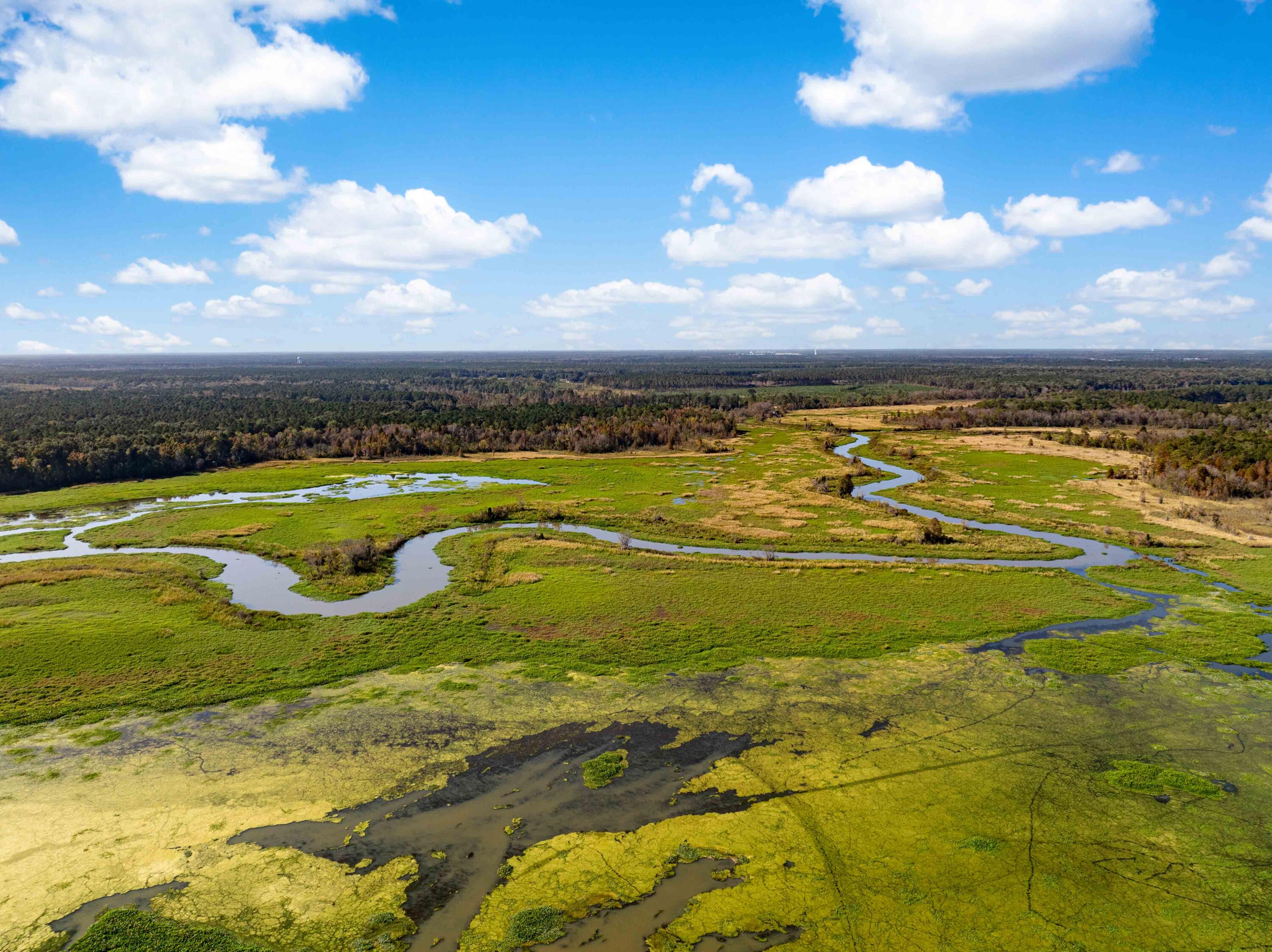 0 Point Comfort Moncks Corner Moncks Corner, SC 29461 - Photo 8 of 49 Point Comfort 2024 Drone_Low Res-5