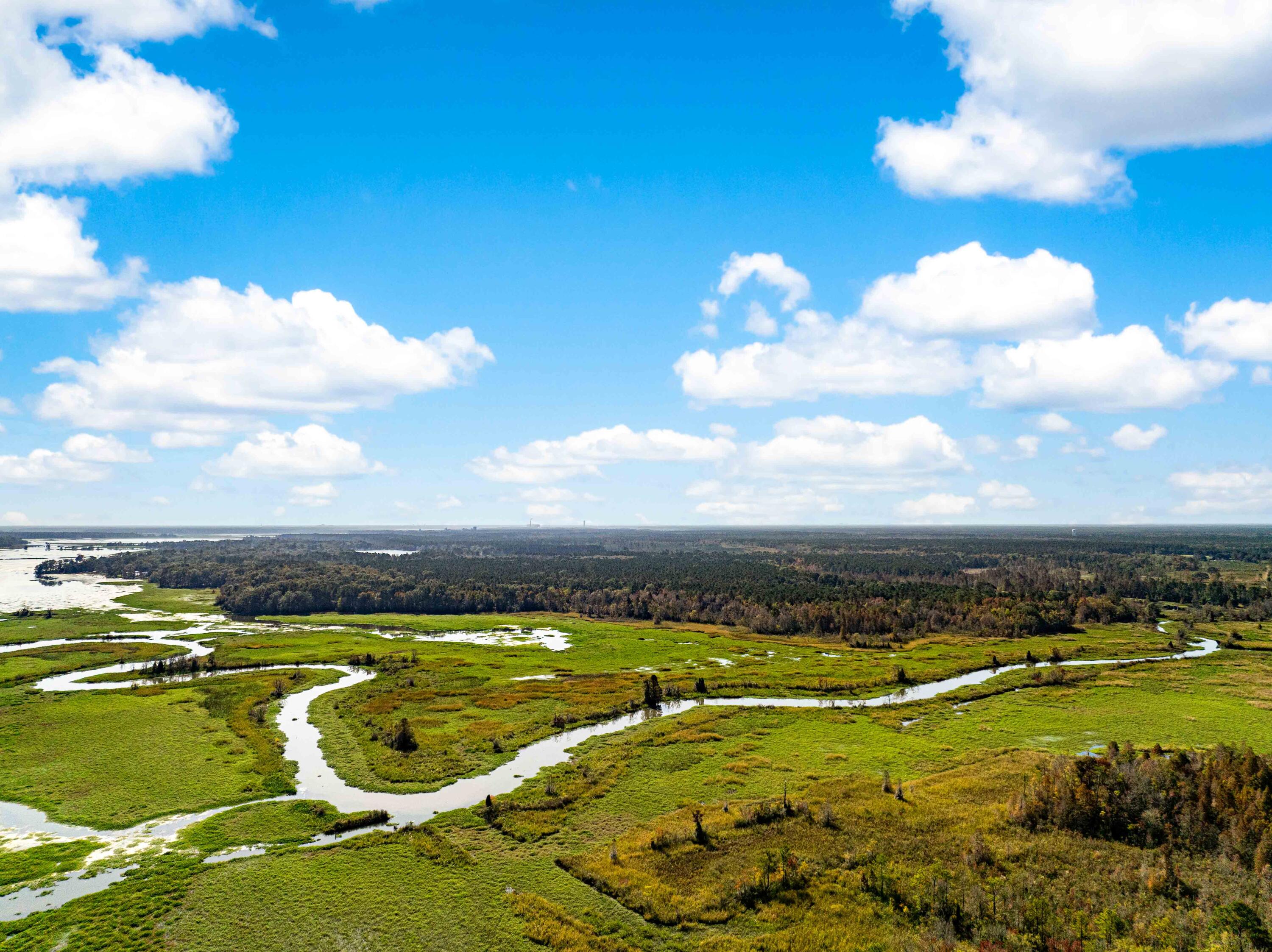 0 Point Comfort Moncks Corner Moncks Corner, SC 29461 - Photo 9 of 49 Point Comfort 2024 Drone_Low Res-7