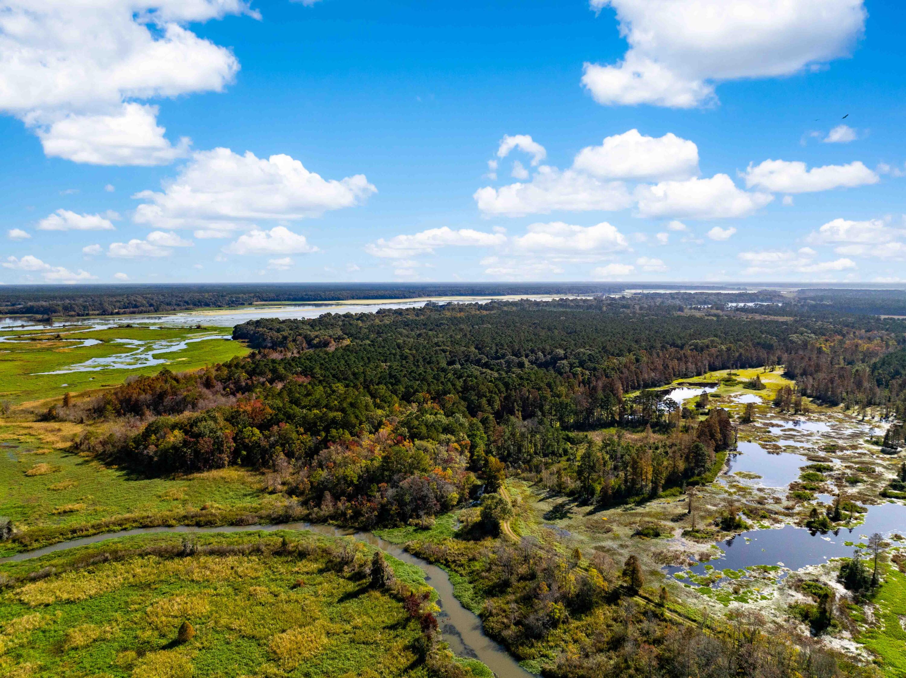 0 Point Comfort Moncks Corner Moncks Corner, SC 29461 - Photo 10 of 49 Point Comfort 2024 Drone_Low Res-14