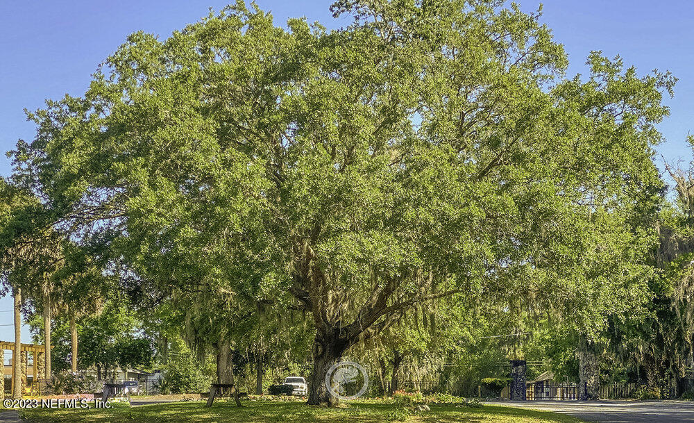 270 West River Road Palatka, FL 32177 - Photo 52 of 108 053_oho_amenities_-_palatka_general_ravi