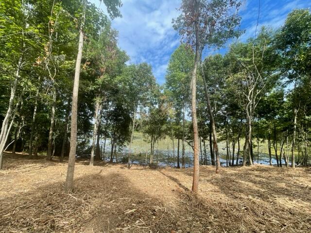 515 Idlewood Road Waynesboro, GA 30830 - Photo 7 of 23 ECAAE221-1BBC-4B23-8B73-850C1CAF0D1B