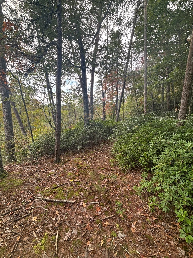 0 Beaver Ridge Road Murphy, NC 28906 - Photo 2 of 9