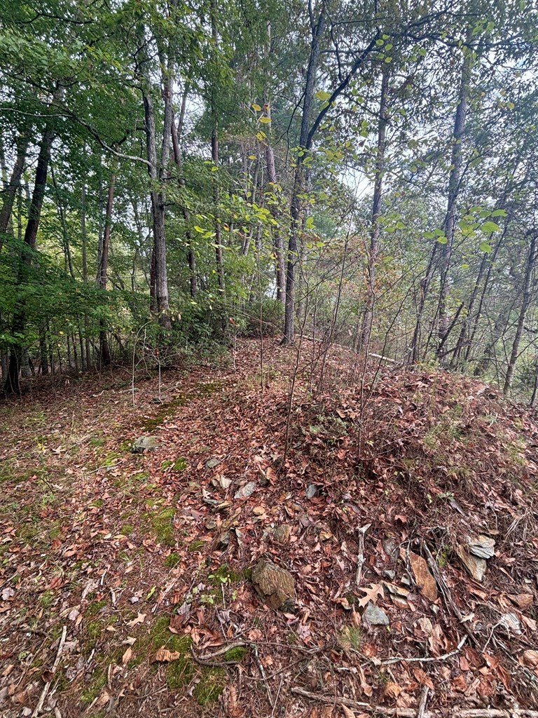 0 Beaver Ridge Road Murphy, NC 28906 - Photo 3 of 9