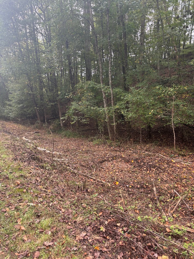 0 Beaver Ridge Road Murphy, NC 28906 - Photo 5 of 9