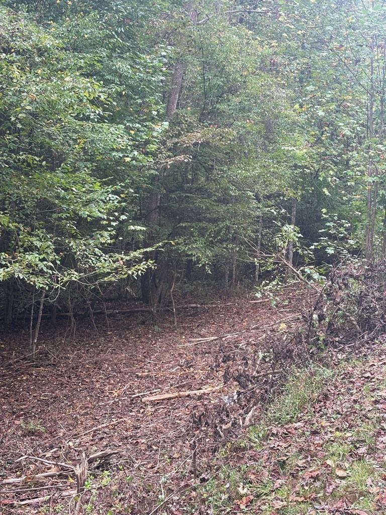 0 Beaver Ridge Road Murphy, NC 28906 - Photo 6 of 9