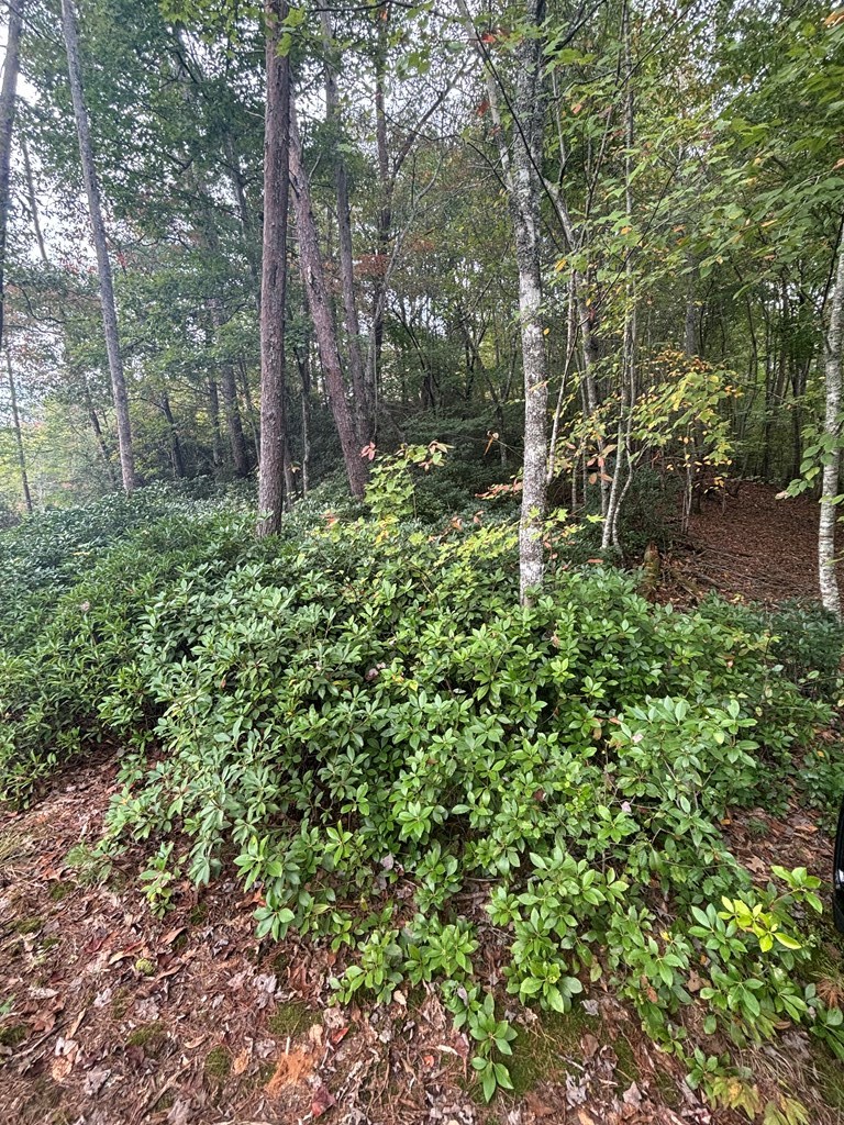 0 Beaver Ridge Road Murphy, NC 28906 - Photo 8 of 9