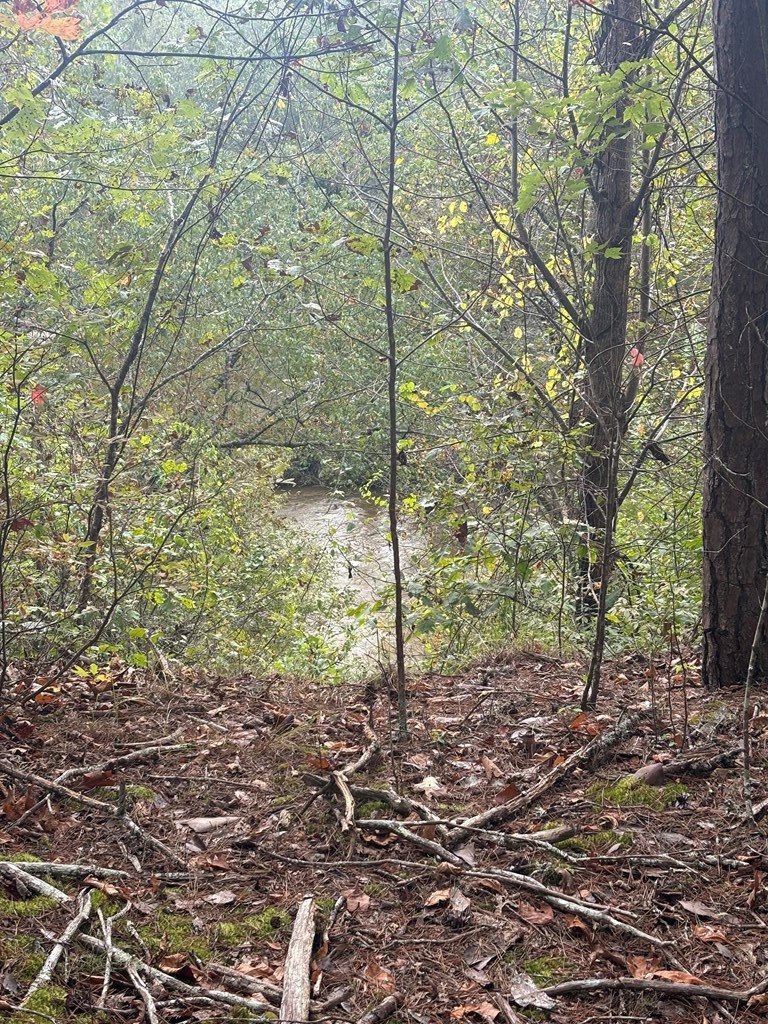 0 Beaver Ridge Road Murphy, NC 28906 - Photo 9 of 9