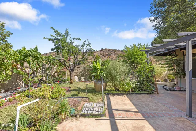 a view of a pathway with plants