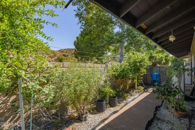 a view of a yard with plants