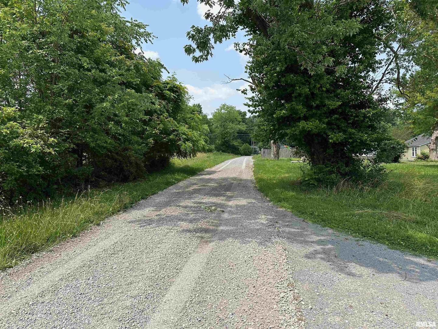 301 North Chestnut Street Christopher, IL 62822 - Photo 5 of 14 a view of a street both side of grassy field with trees