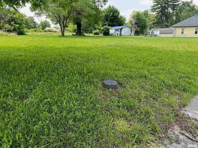 $11,000 | 301 North Chestnut Street, Christopher, IL 62822