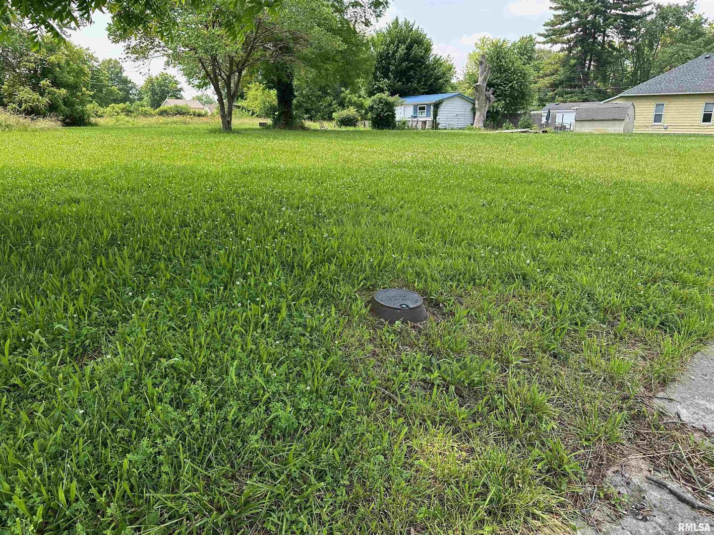 301 North Chestnut Street Christopher, IL 62822 - Photo 7 of 14 a view of a big yard with a house and large trees