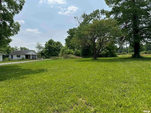 a view of a green field with trees in the background