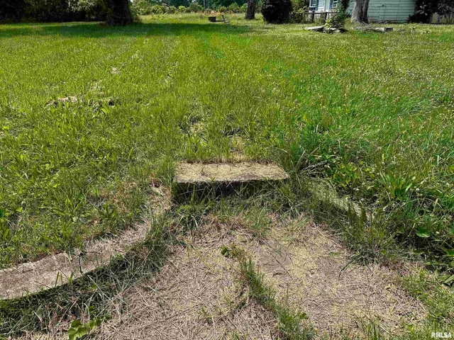 $11,000 | 301 North Chestnut Street, Christopher, IL 62822