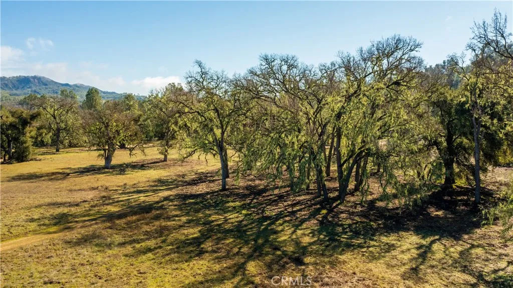 0 Lynch Canyon Road Bradley, CA 93426 - Photo 11 of 50 a view of outdoor space with trees