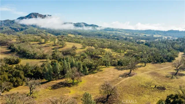 a view of a backyard of a house