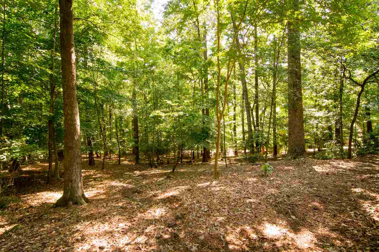4900 Springwood Drive Raleigh, NC 27613 - Photo 10 of 15 Photo 10