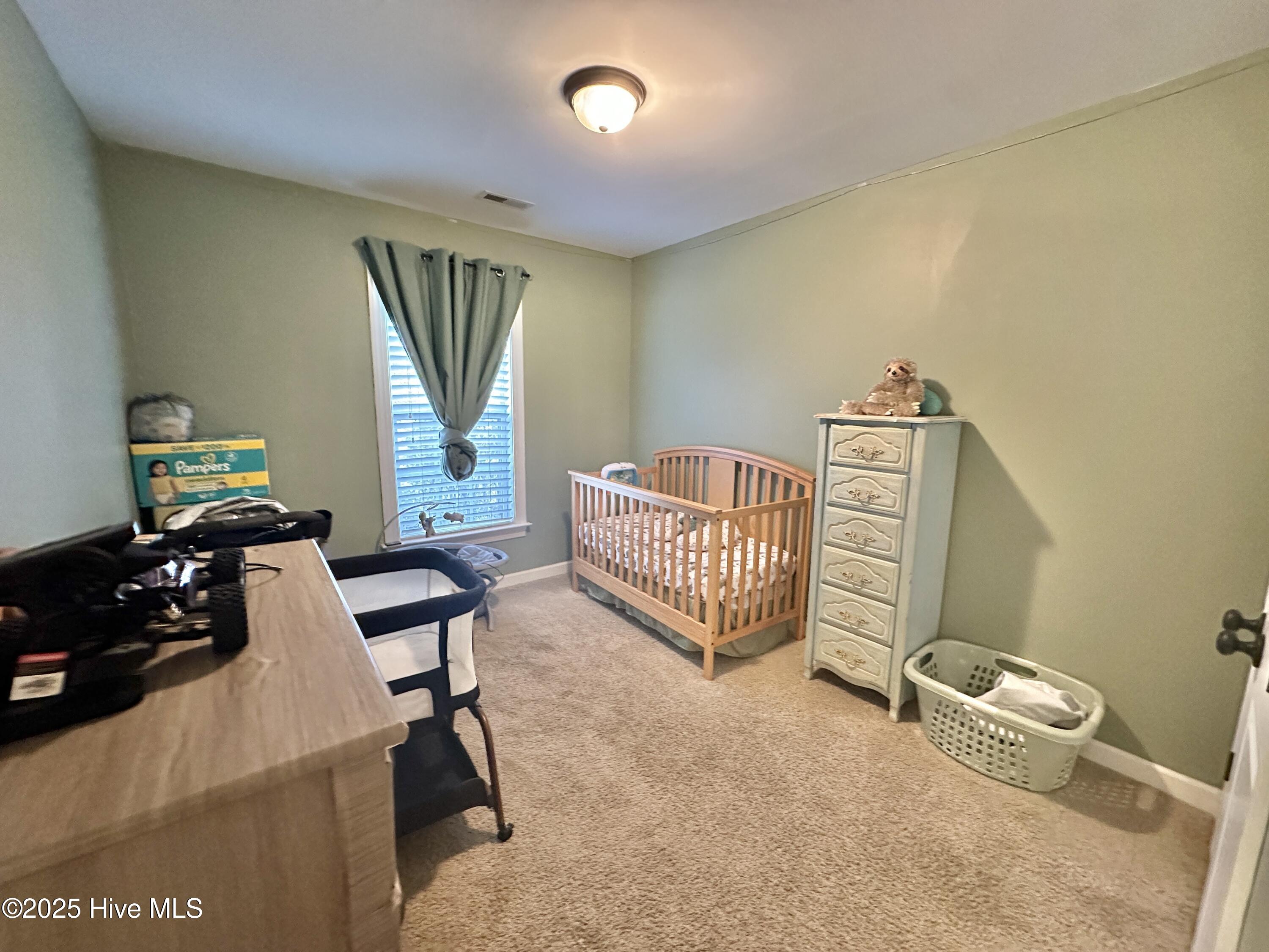 510 Planters Ridge Drive Pikeville, NC 27863 - Photo 17 of 23 IMG_1606 3