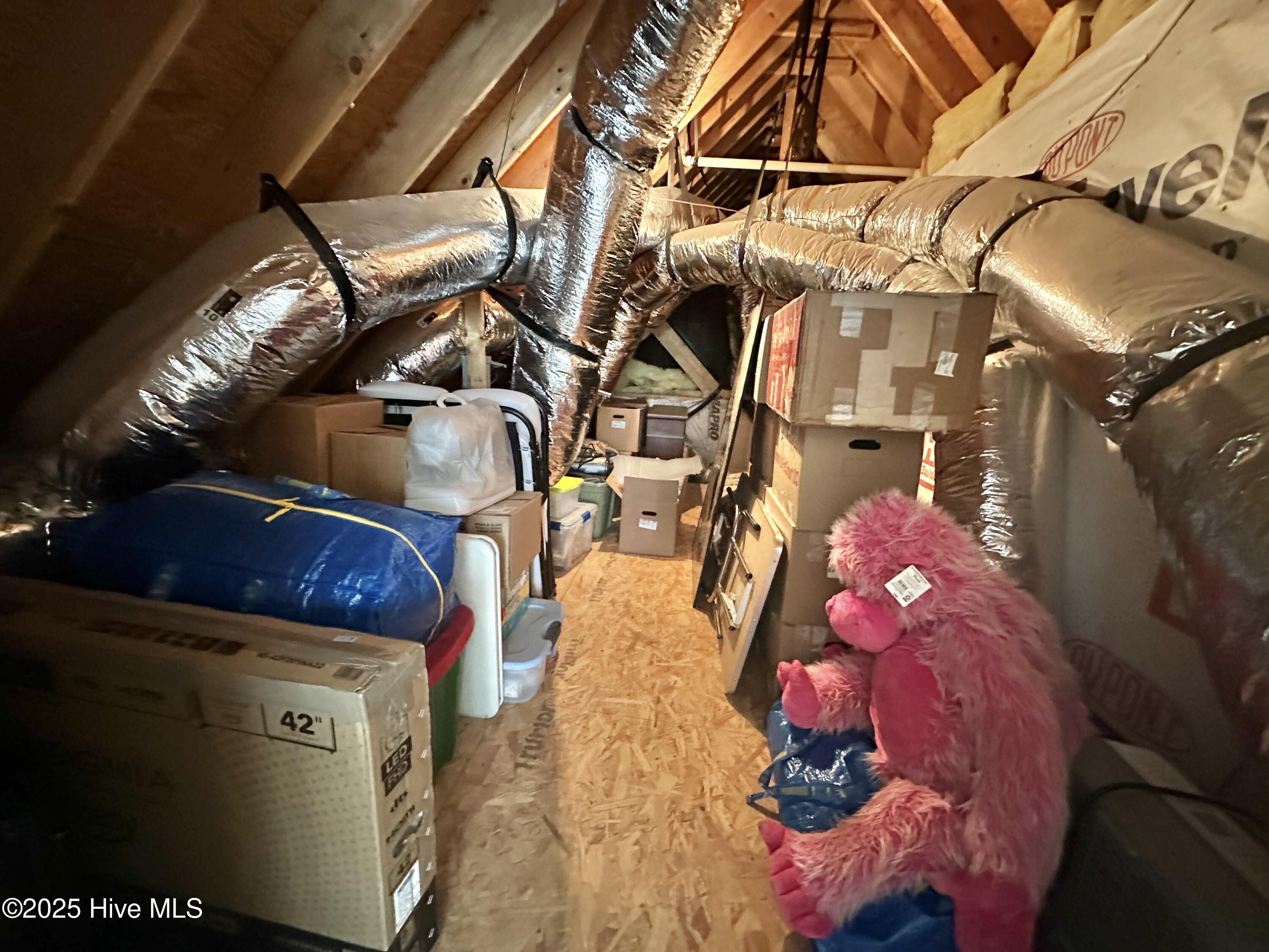 510 Planters Ridge Drive Pikeville, NC 27863 - Photo 23 of 23 IMG_1621 2