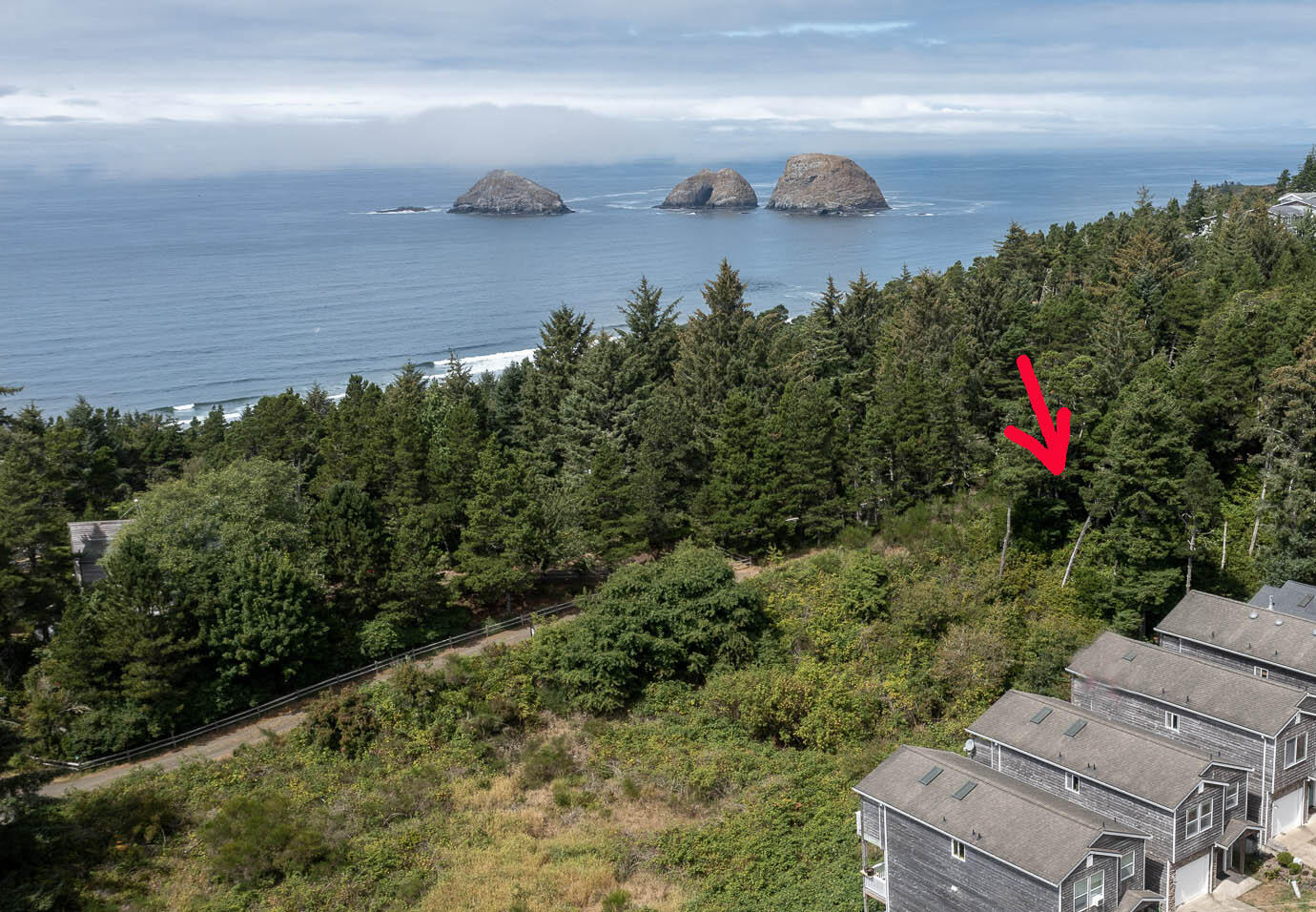 16-18 Glenwood Road Tillamook, OR 97141 - Photo 5 of 5 drone pic