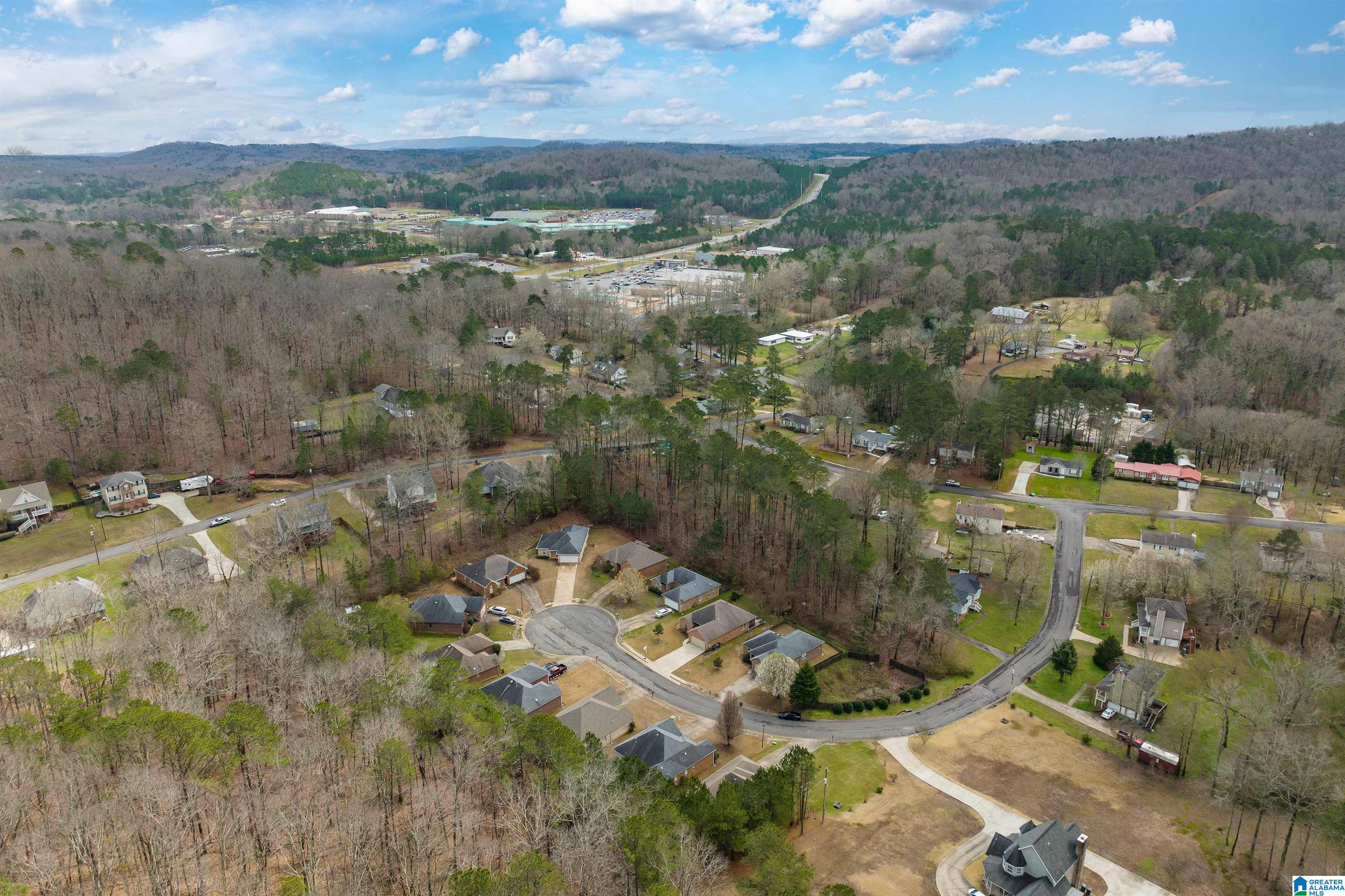 6734 Heaton Manor Pinson, AL 35126 - Photo 27 of 29