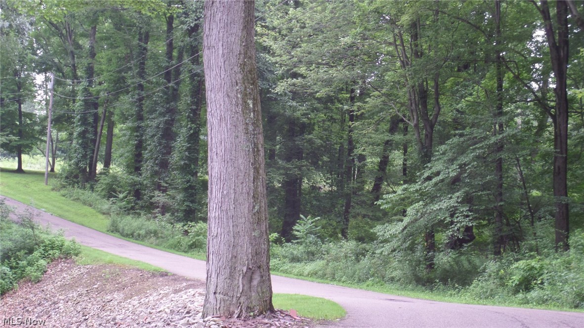 22107 Yoder Road Minerva, OH 44657 - Photo 1 of 6 Gallery Image 1