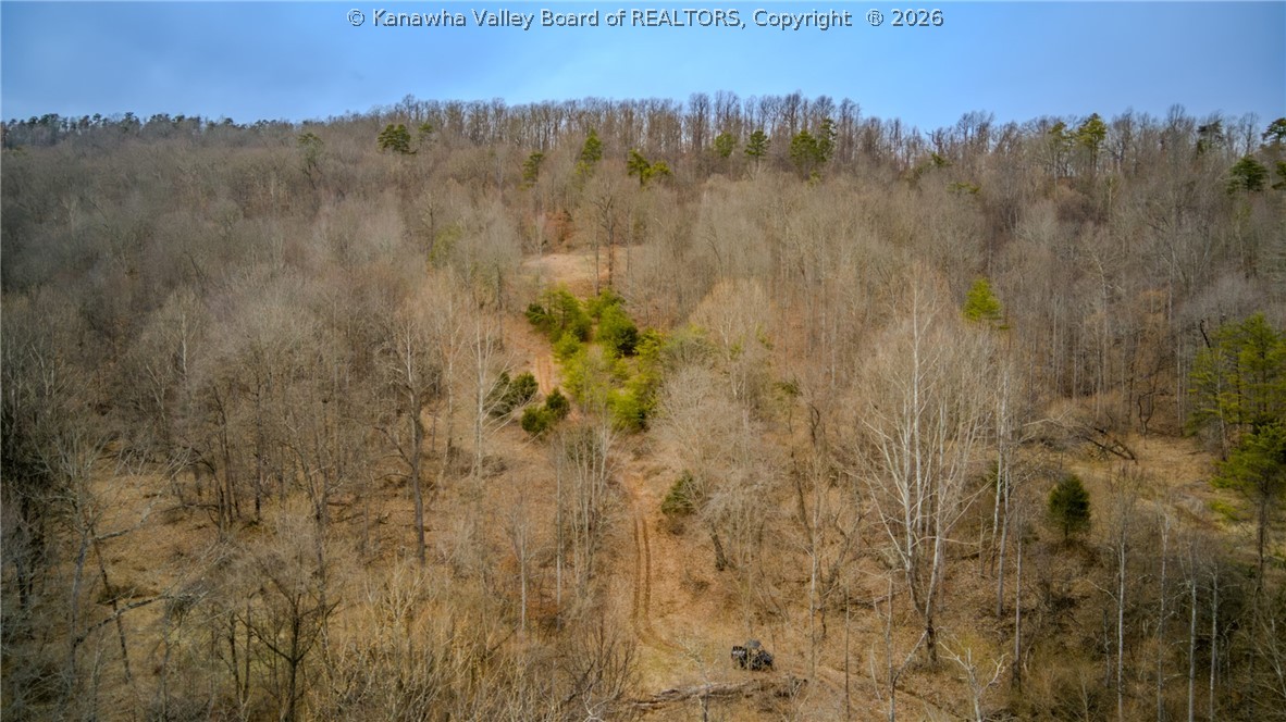 0 Evansview Road Evans, WV 25241 - Photo 28 of 41 Gallery Image 28