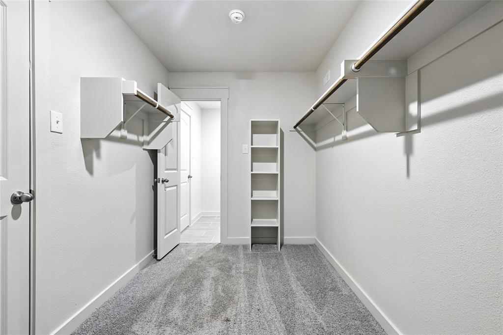 1795 Gleasondale Place Forney, TX 75126 - Photo 20 of 29 Walk in closet featuring light colored carpet