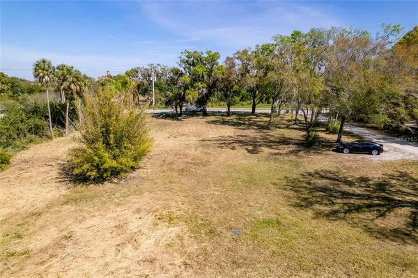 a view of a yard with a tree