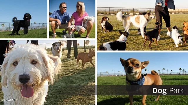 a view of outdoor space yard and patio