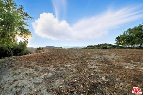 a view of a yard with an trees