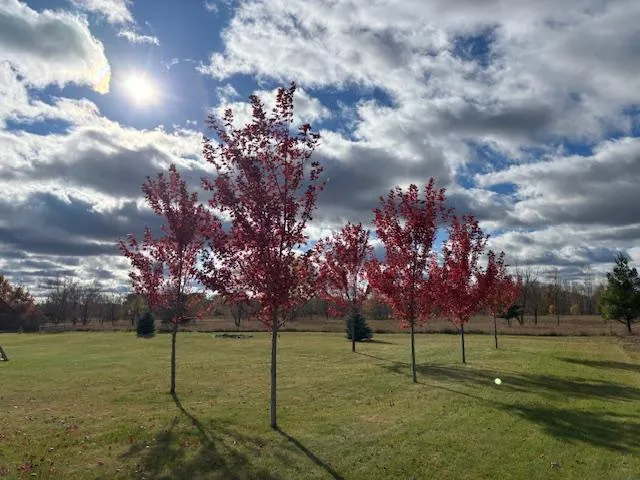 $525,000 | 23846 Marmon Street Northeast, Bethel, MN 55005