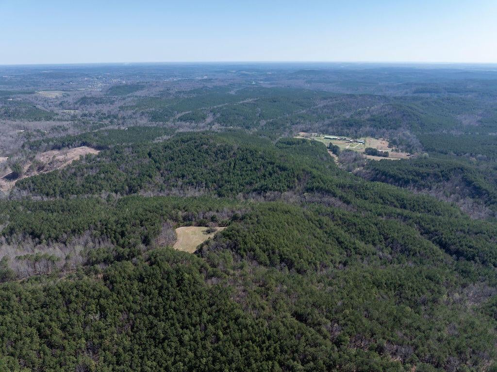 15201 Co Road Carbon Hill, AL 35549 - Photo 21 of 46 Gallery Image 21