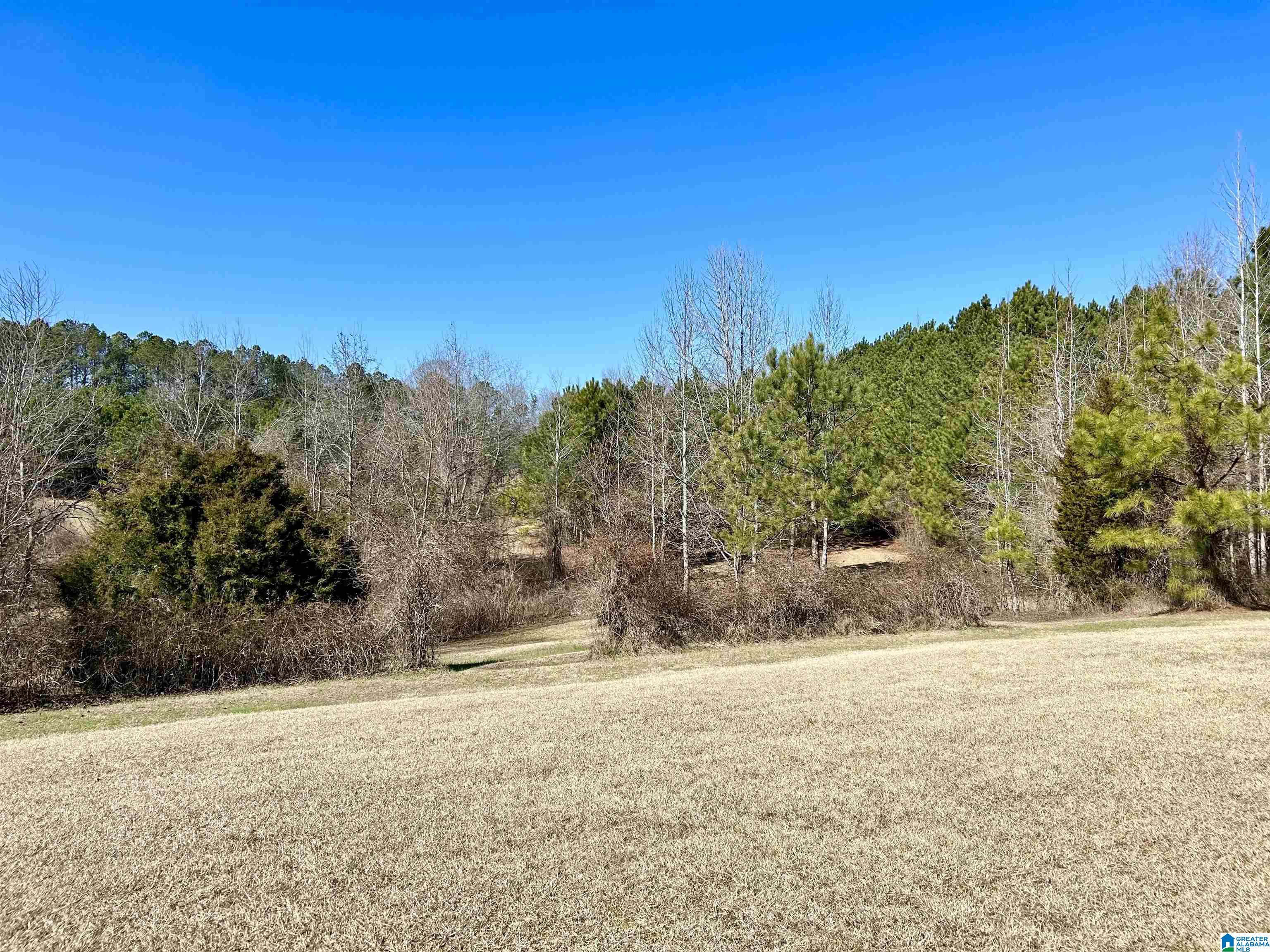 11004 Tabor Road Collinsville, AL 35961 - Photo 18 of 19
