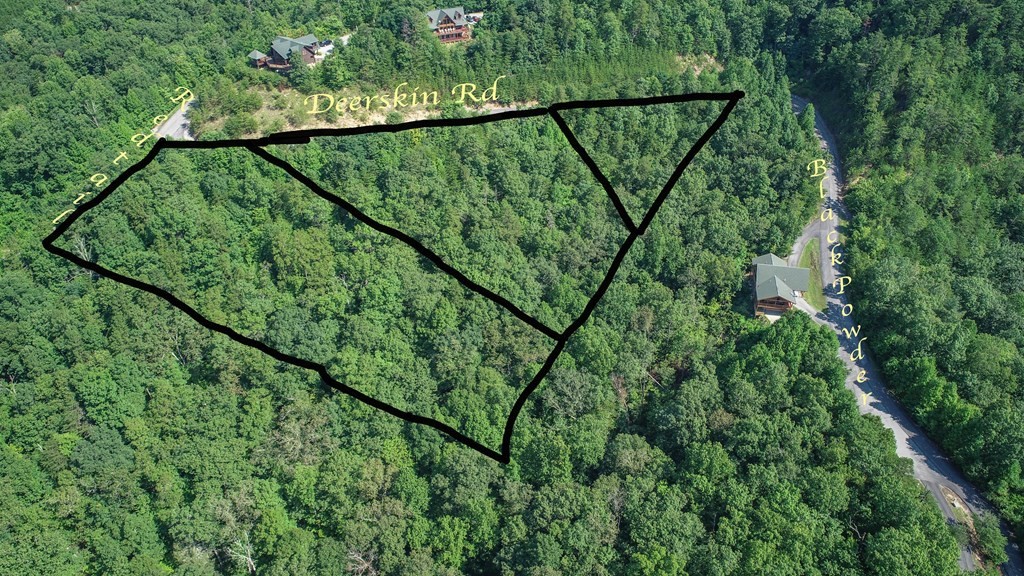 76 Redtail Road Sevierville, TN 37862 - Photo 4 of 23