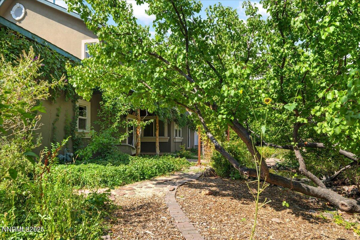1516 Coleman Drive Reno, NV 89503 - Photo 11 of 87 09-DSC_9382