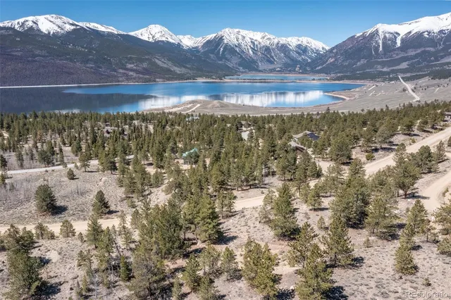 a view of a large tree with a mountain in the background