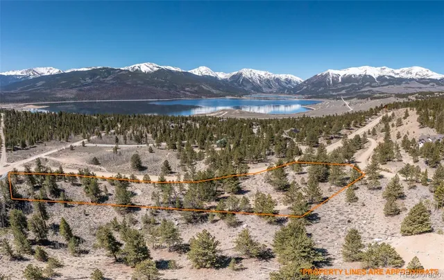 a view of a dry yard with trees