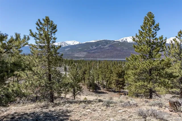 a view of a city with mountains in the background