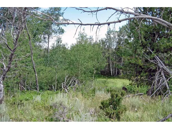 $107,500 | Wilderness Ranch Road, Livermore, CO 80536