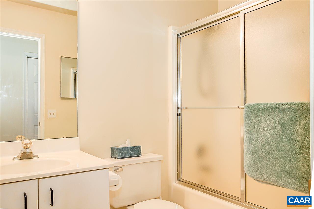 151 Goldenrod Road Ruckersville, VA 22968 - Photo 29 of 33 a bathroom with a shower and a sink