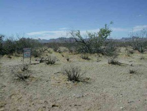 Escuela Road Kingman, AZ 86413 - Photo 1 of 3 Primary Photo