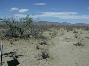 Escuela Road Kingman, AZ 86413 - Photo 2 of 3 Additional Photo
