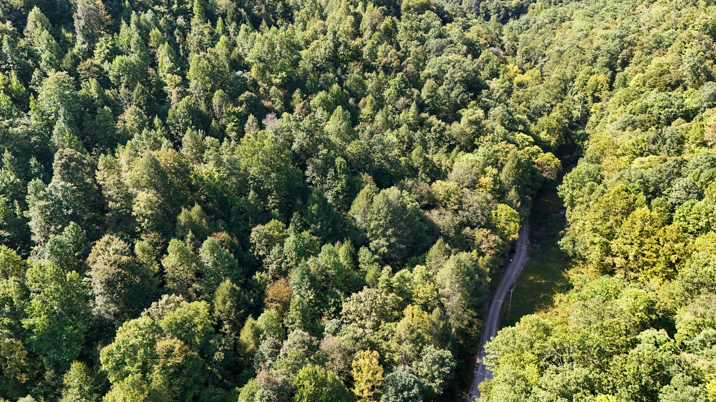 1737 Laurel Branch Road Walker, KY 40997 - Photo 17 of 18 LightroomRealEstateEdits-13