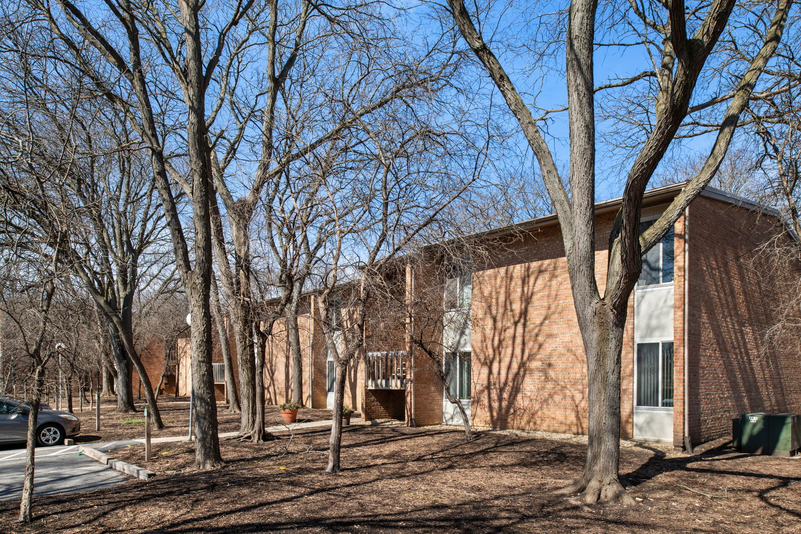 1501 Fairway Drive, Unit 1E Lisle, IL 60532 - Photo 1 of 17 a tree in the middle of a yard