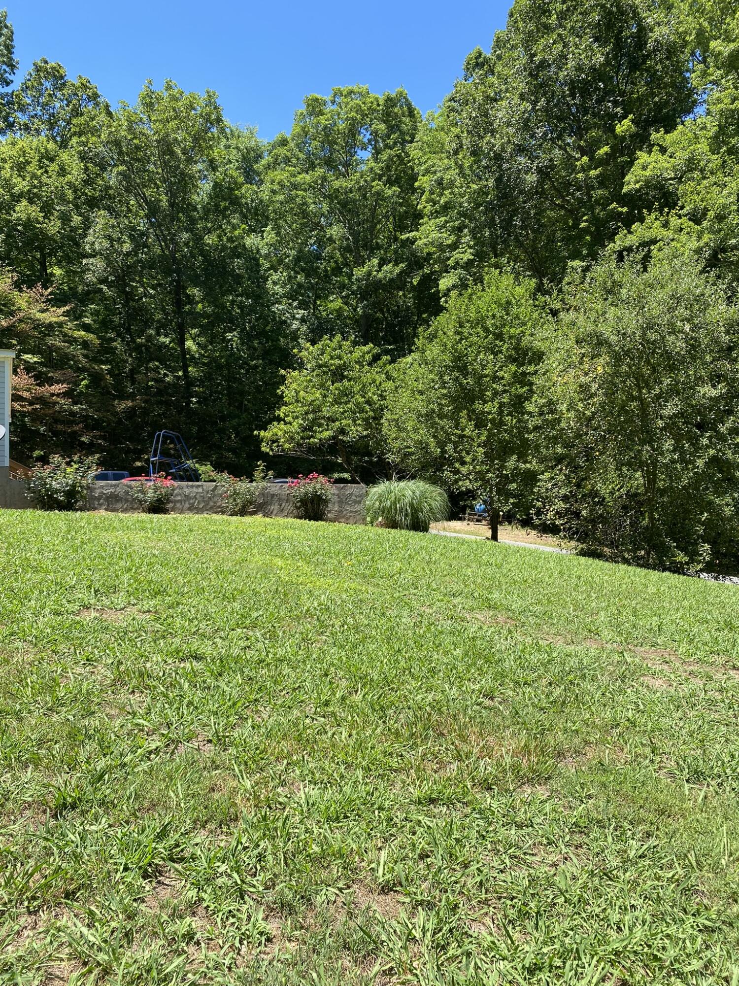 111 Tiger Road Dunlap, TN 37327 - Photo 9 of 14 4AC54771-5CAE-4EC3-8FB8-8D731FEEC040