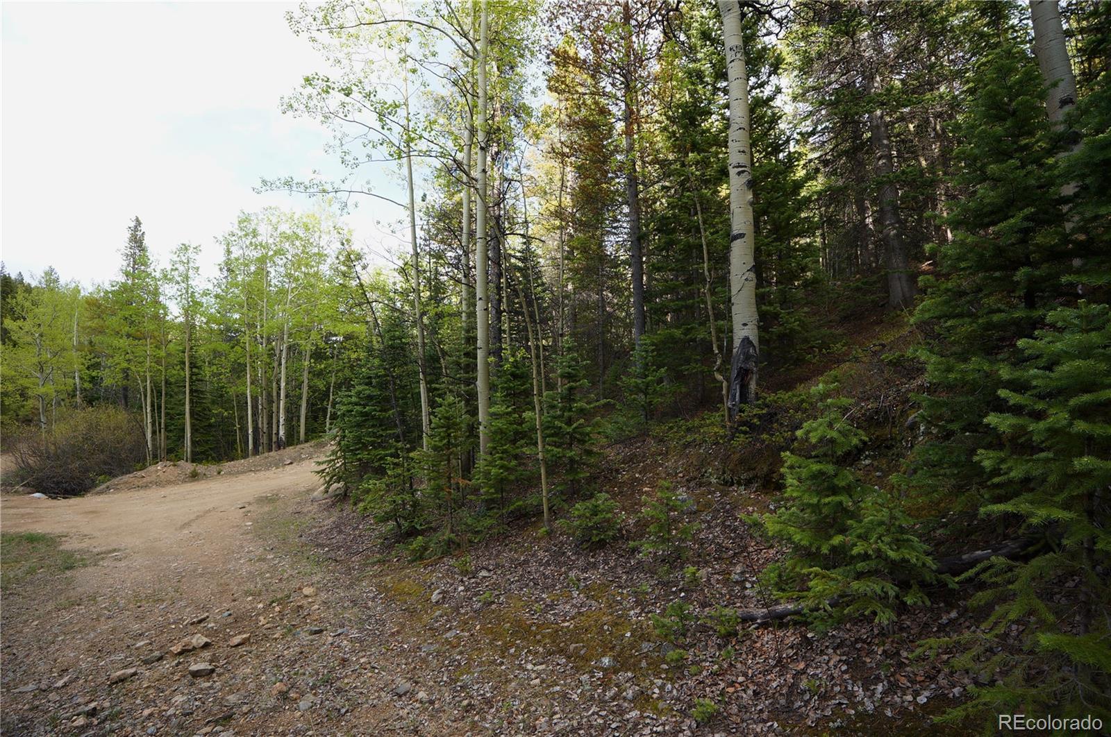0 Trail Creek Road Idaho Springs, CO 80452 - Photo 9 of 16