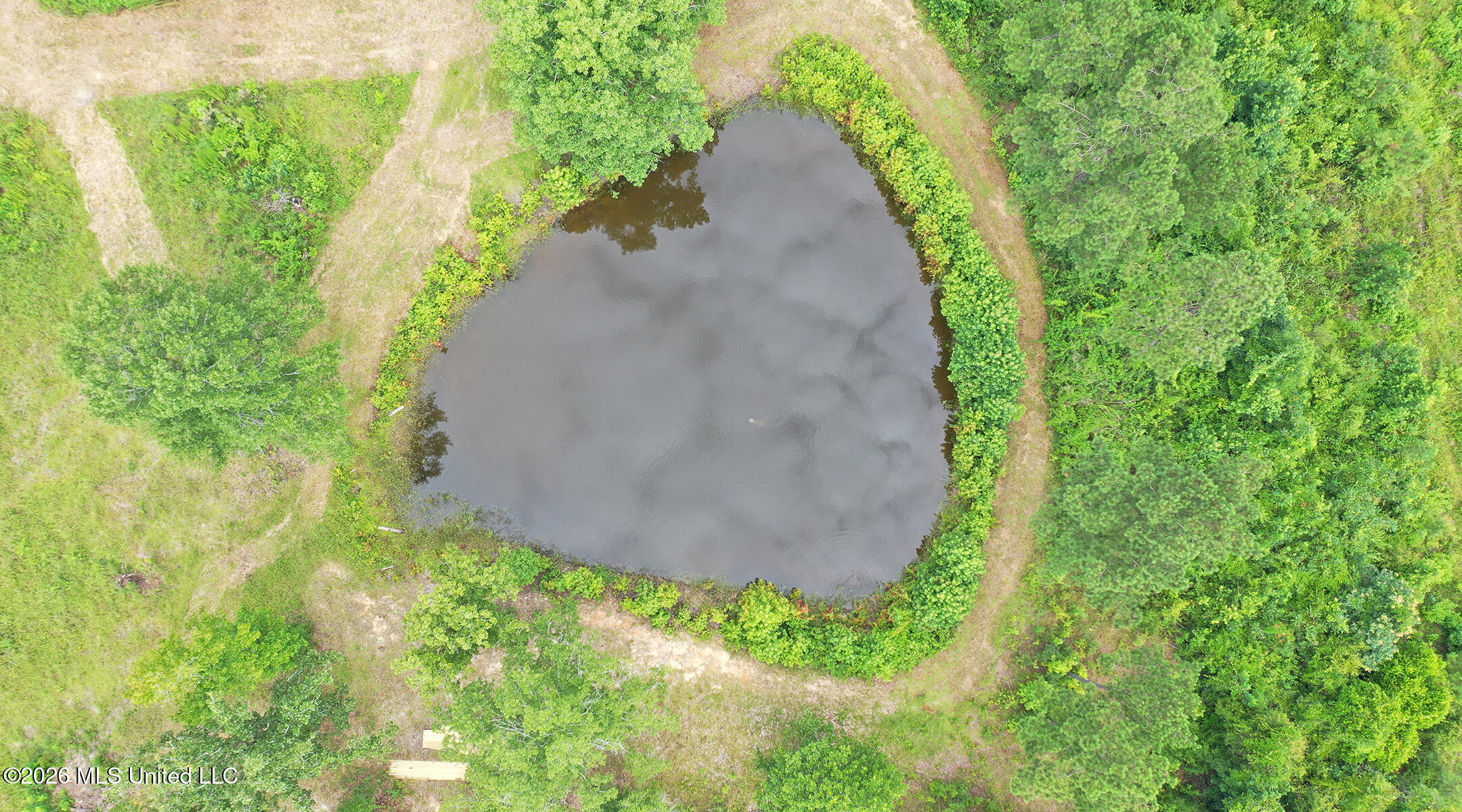 0 Ed Thomas Road Summit, MS 39666 - Photo 3 of 19 DJI_0773