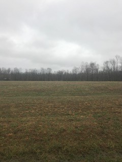 1838 Williams Road Lafayette, TN 37083 - Photo 1 of 1 Gallery Image 1