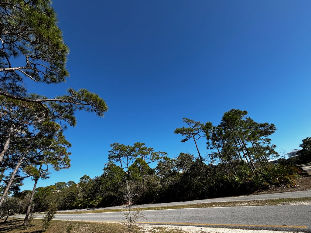 2000 Pelican Way St. George Island, FL 32328 - Photo 6 of 19